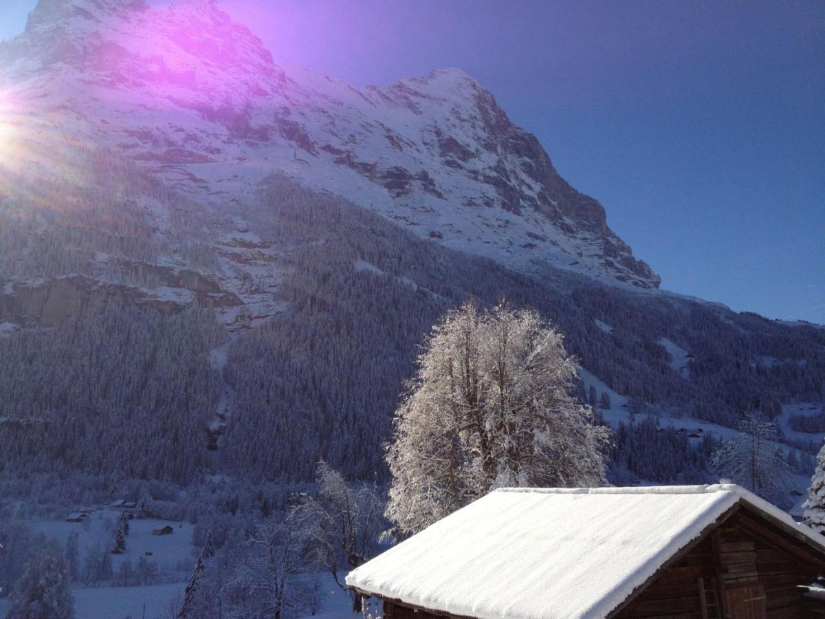 Apartment Chalet Baergsunna-3 By Interhome Grindelwald Buitenkant foto