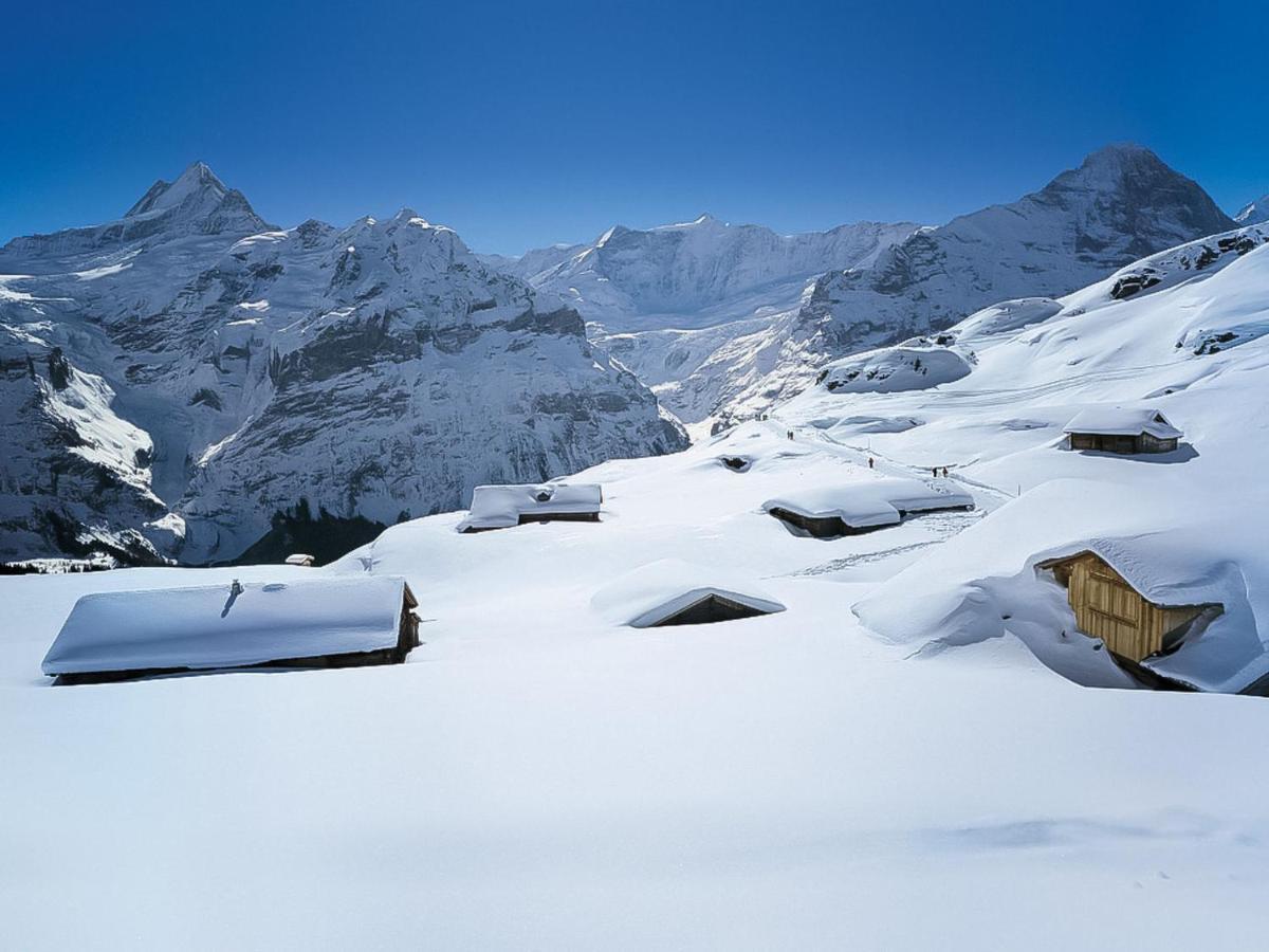 Apartment Chalet Baergsunna-3 By Interhome Grindelwald Buitenkant foto